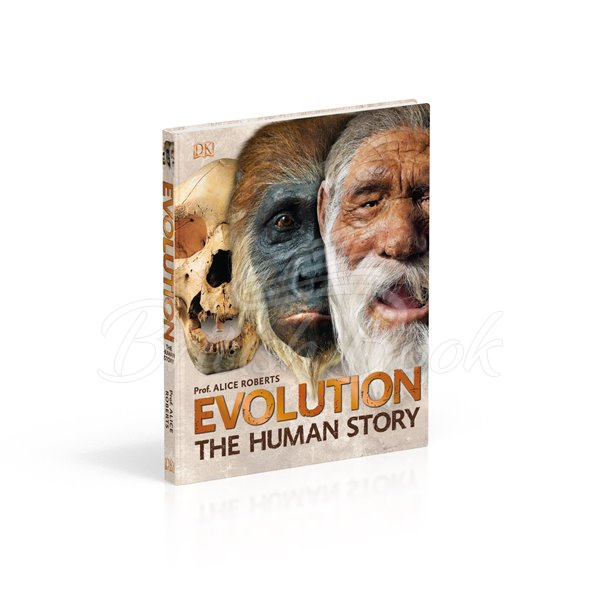 Книга Evolution: The Human Story зображення 6