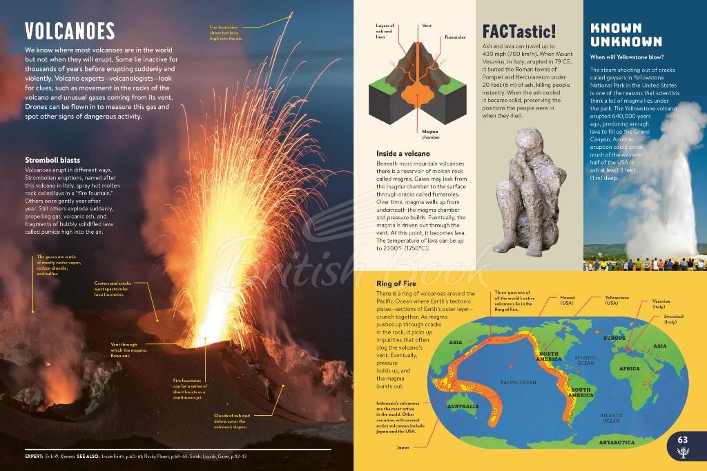 Книга Britannica All New Children's Encyclopedia зображення 5