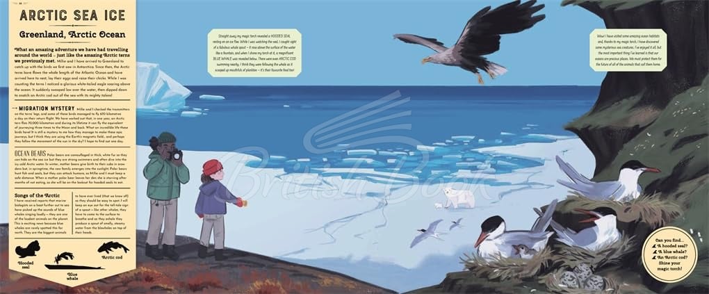 Книга Mysteries of the Ocean зображення 7