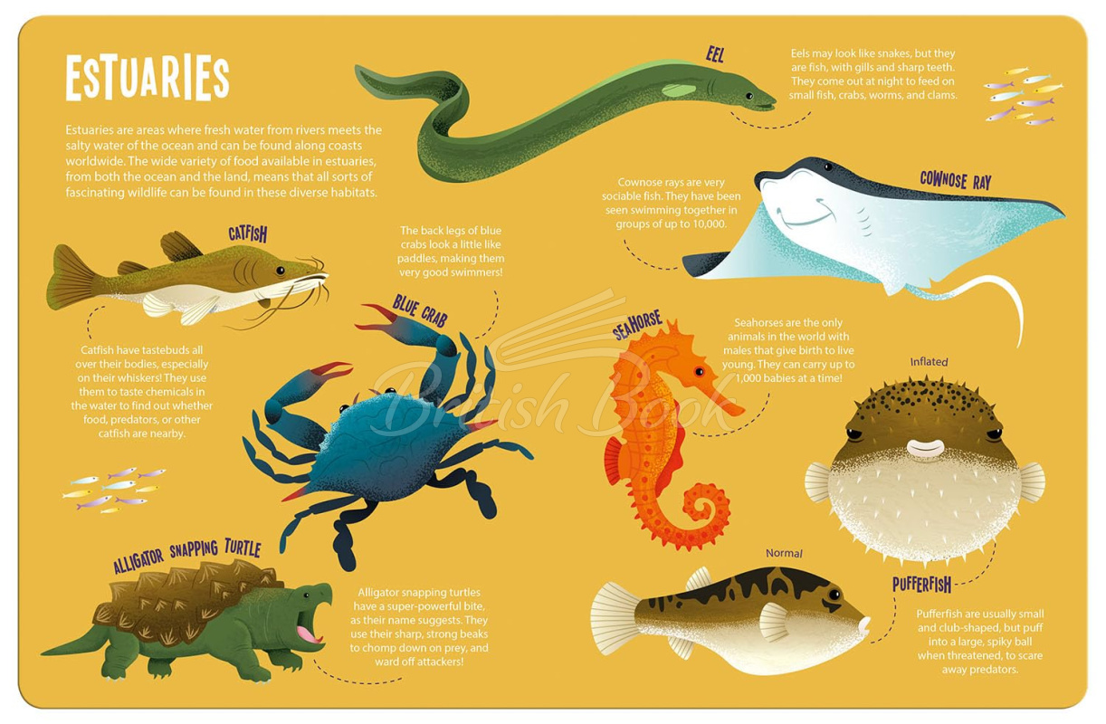 Книга Magic Searchlight: Ocean Animals изображение 5