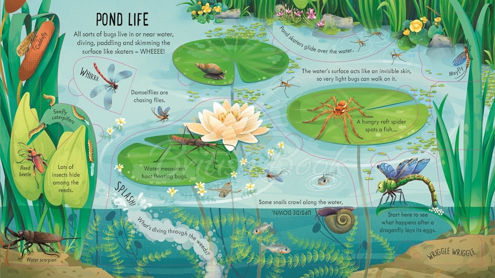 Книга Look inside Bug World зображення 3