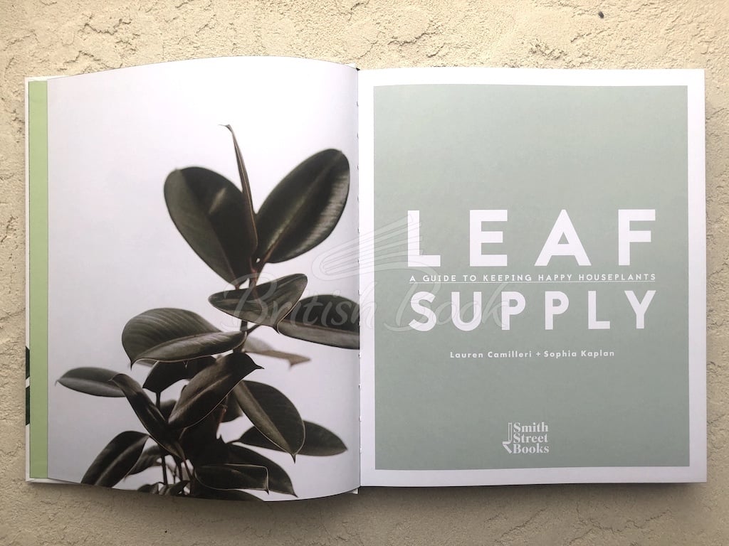 Книга Leaf Supply изображение 2
