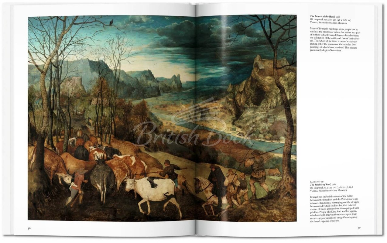 Книга Bruegel зображення 3