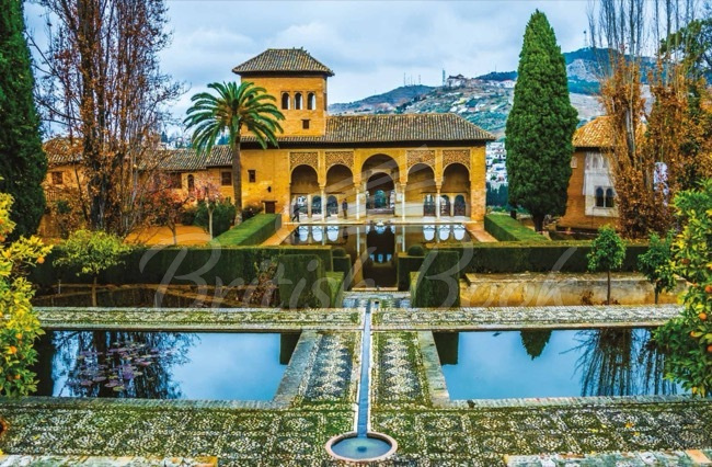Книга Amazing Gardens зображення 4