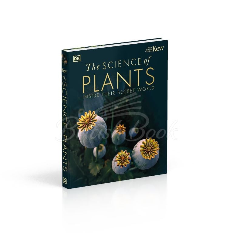 Книга The Science of Plants зображення 9