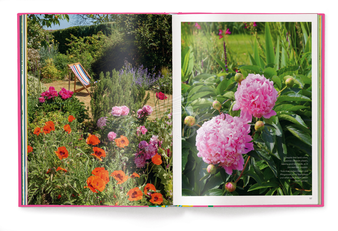Книга Floramour: Peonies зображення 3