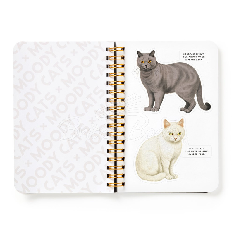 Стікербук Moody Cats Sticker Book зображення 6