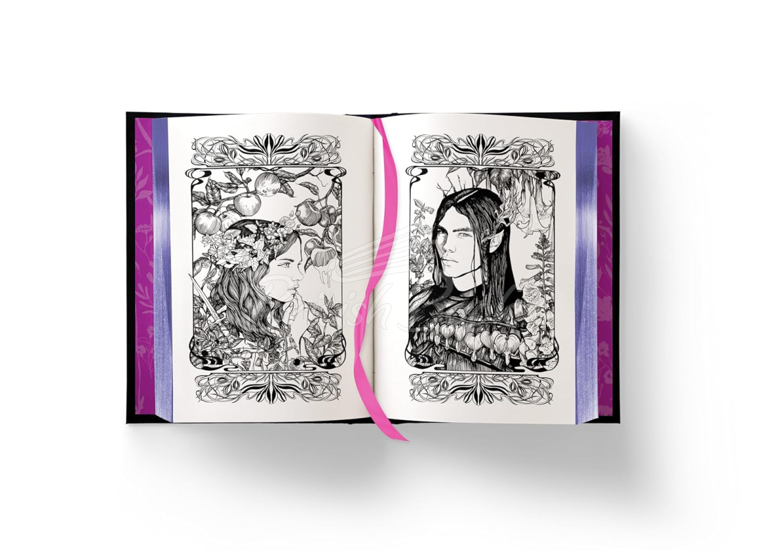 Книга Fairy Tale Retellings Volume I (Books 1-2) изображение 4