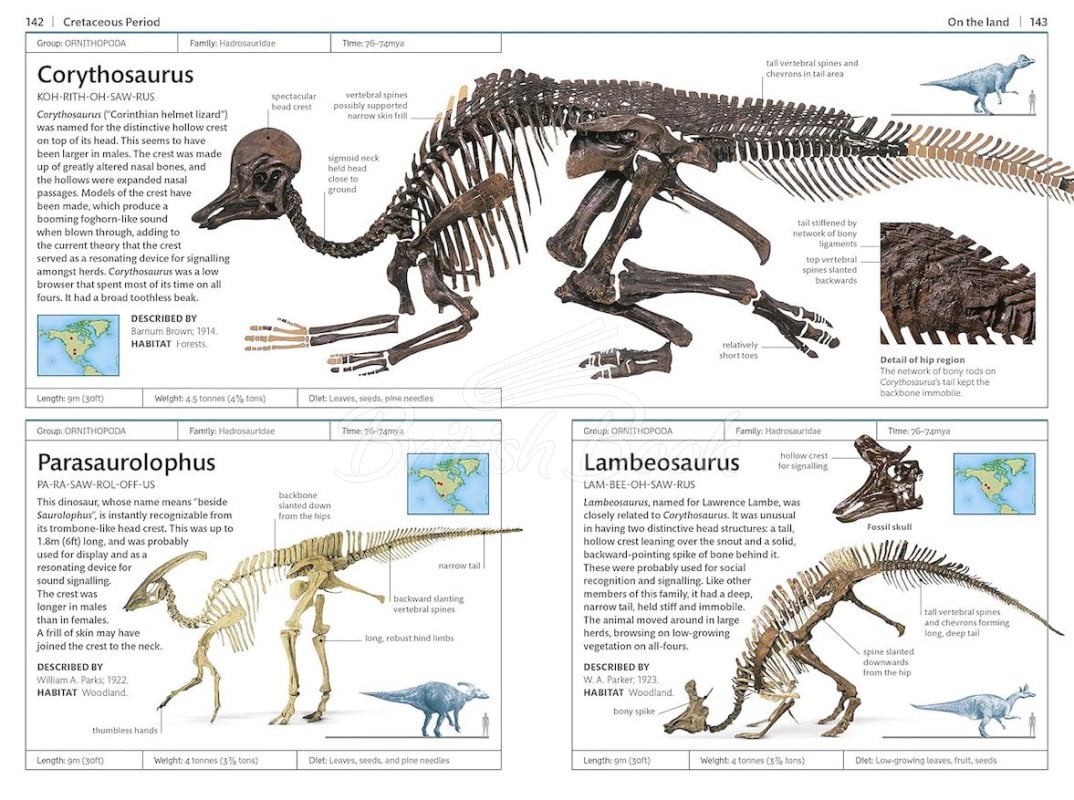 Книга Dinosaurs and Other Prehistoric Life изображение 3