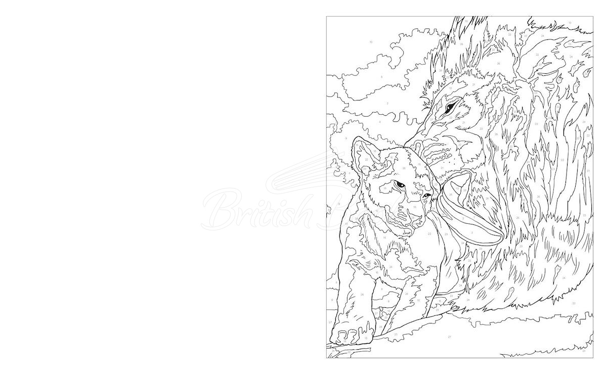 Книга Animal Kingdom Colour by Numbers изображение 2
