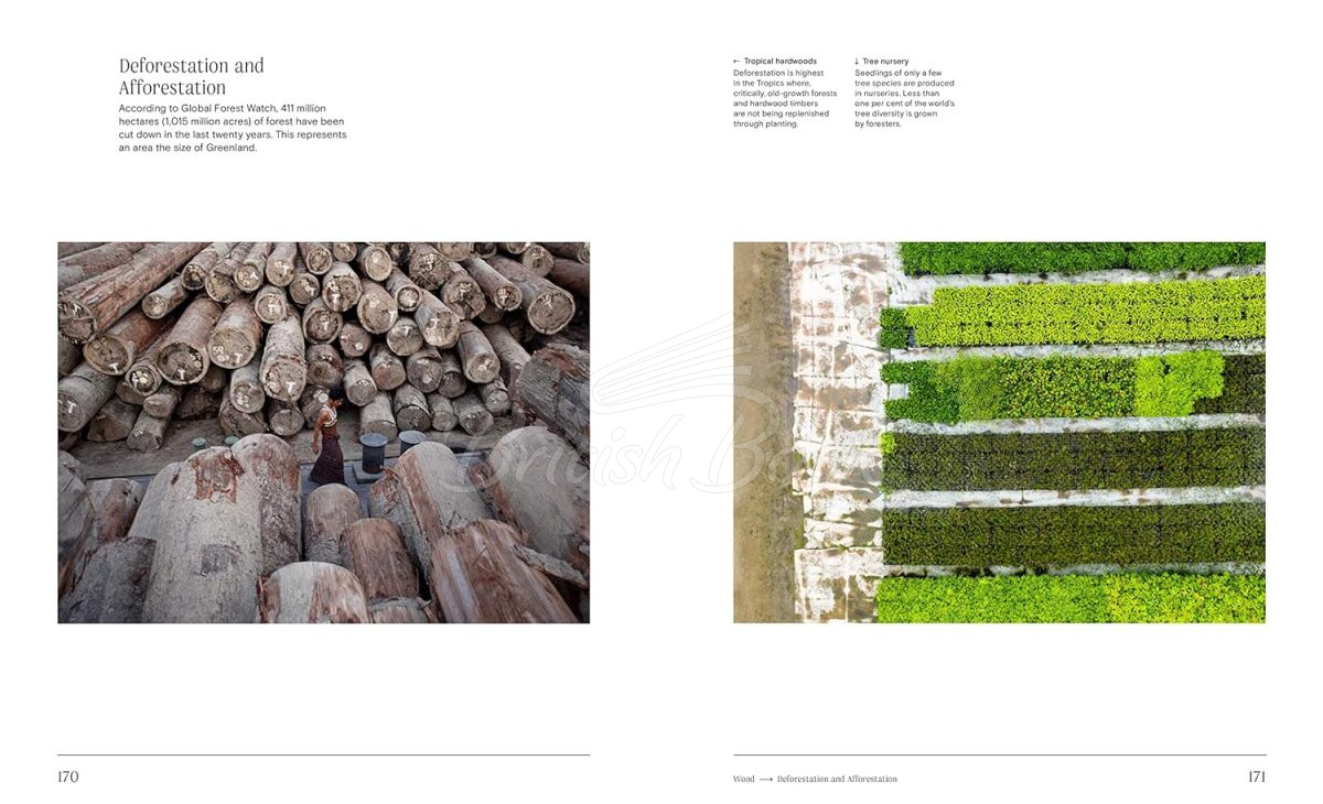Книга Trees: From Root to Leaf изображение 10