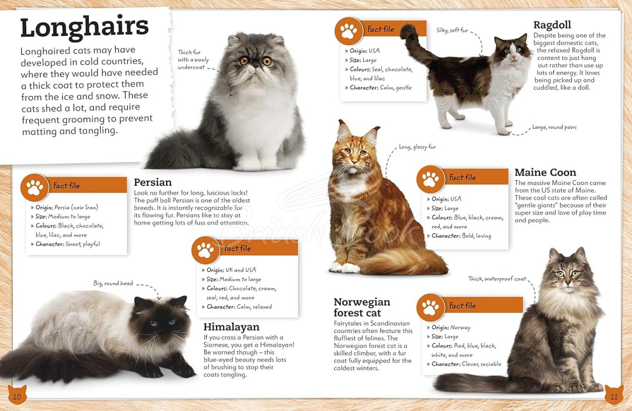 Книга My Book of Cats and Kittens изображение 3