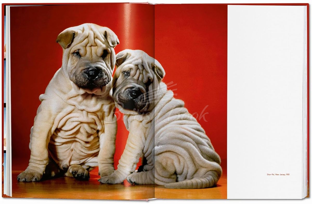 Книга Walter Chandoha. Dogs. Photographs 1941–1991 изображение 5