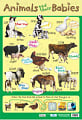 Animals and Their Babies Poster