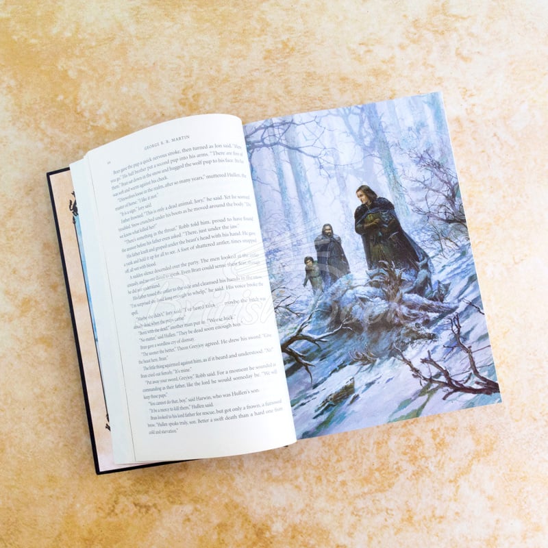Книга A Game of Thrones (Book 1) (20th Anniversary Illustrated Edition) зображення 4