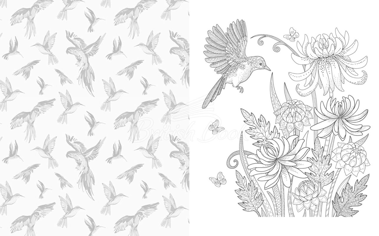 Книга The Birds and Butterflies Colouring Book зображення 3