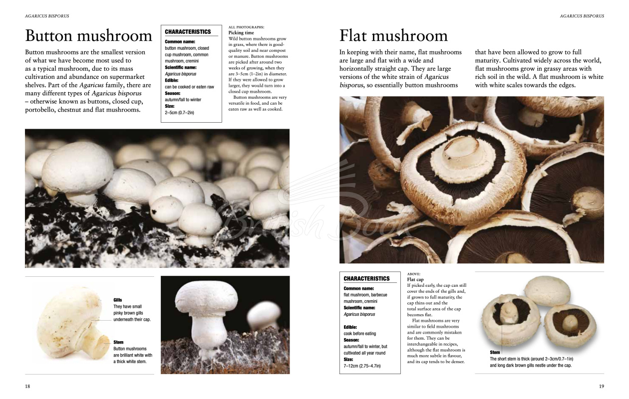 Книга Mushrooms: A Guide to Fungi and Toadstools зображення 2