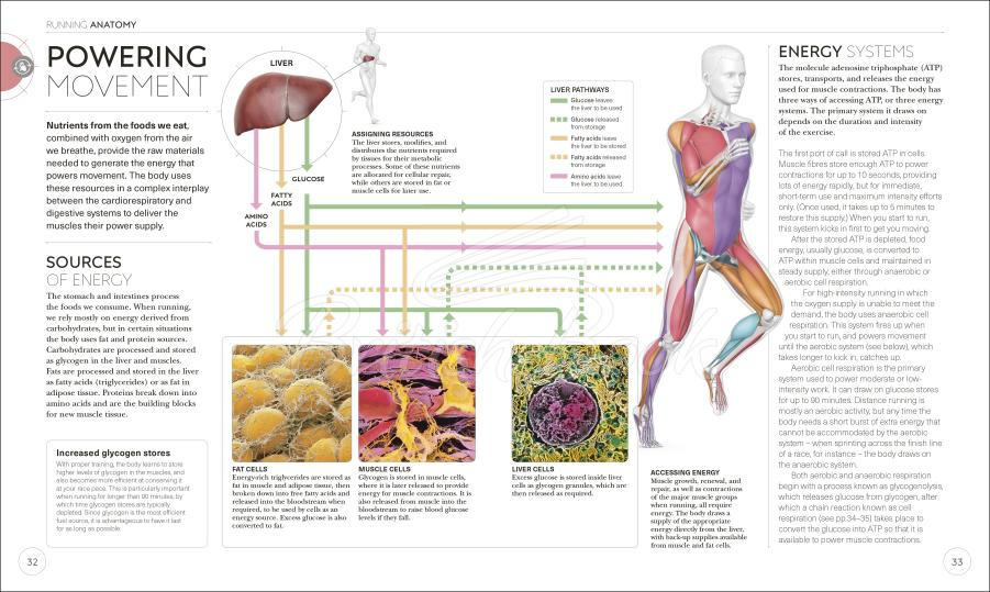Книга Science of Running изображение 1
