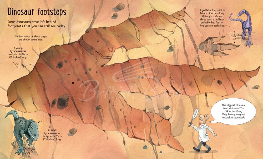 Книга Big Book of Big Dinosaurs зображення 6