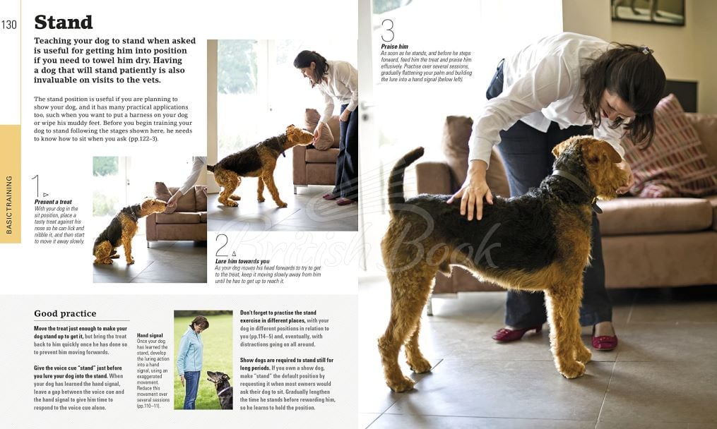 Книга The Beginner's Dog Training Guide изображение 2