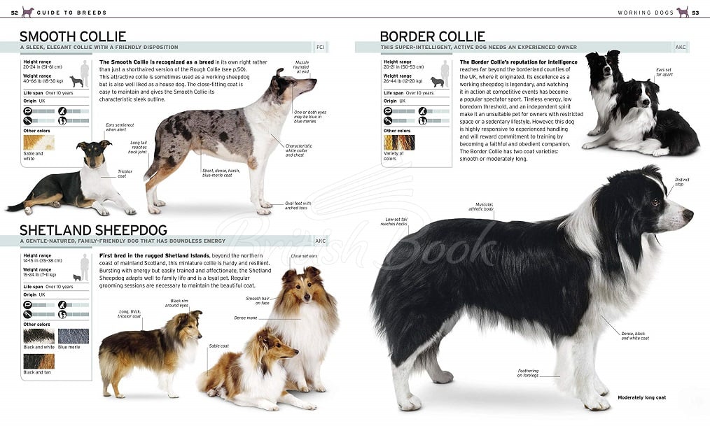 Книга The Complete Dog Breed Book зображення 2