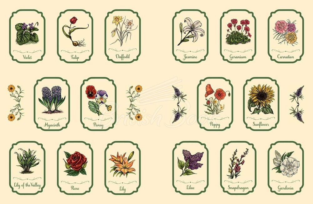 Стікербук The Green Witch's Sticker Book зображення 2