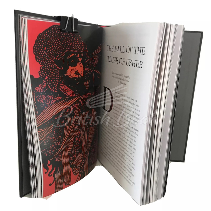 Книга Edgar Allan Poe: Illustrated Tales изображение 3