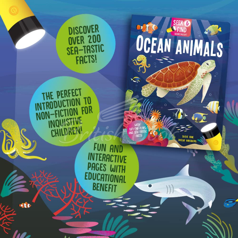 Книга Seek and Find Searchlight: Ocean Animals изображение 3