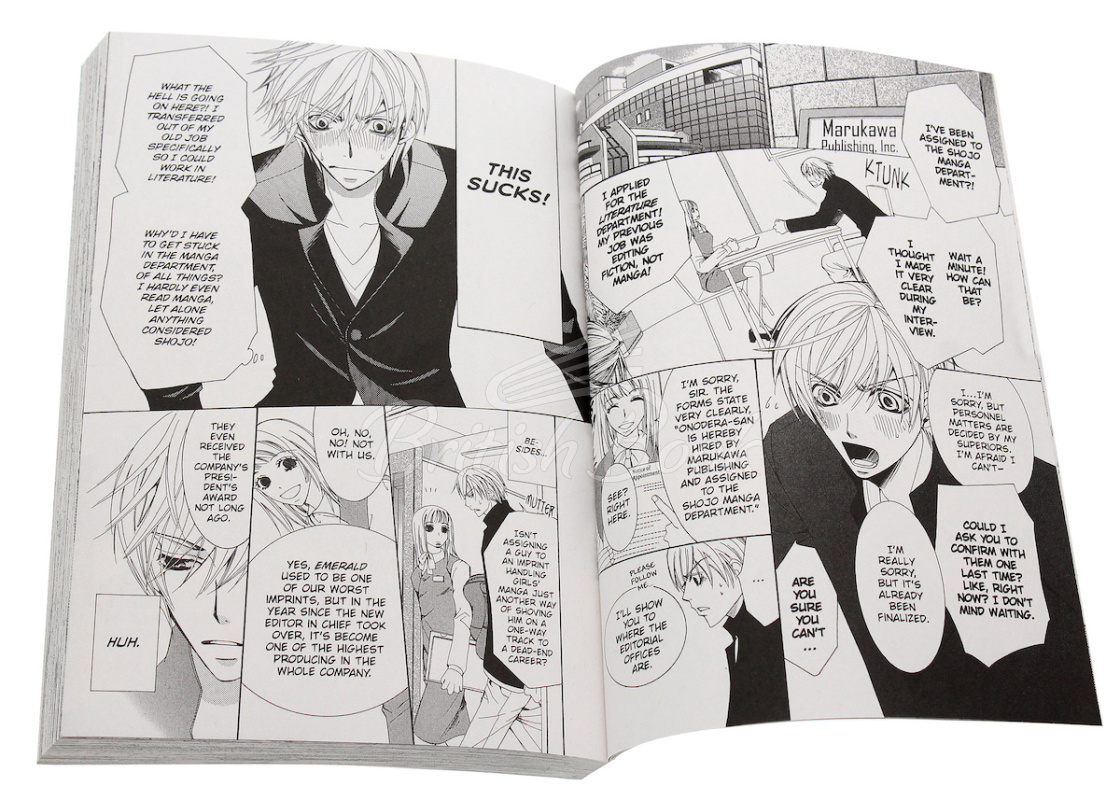 Книга The World's Greatest First Love Vol. 1 изображение 1