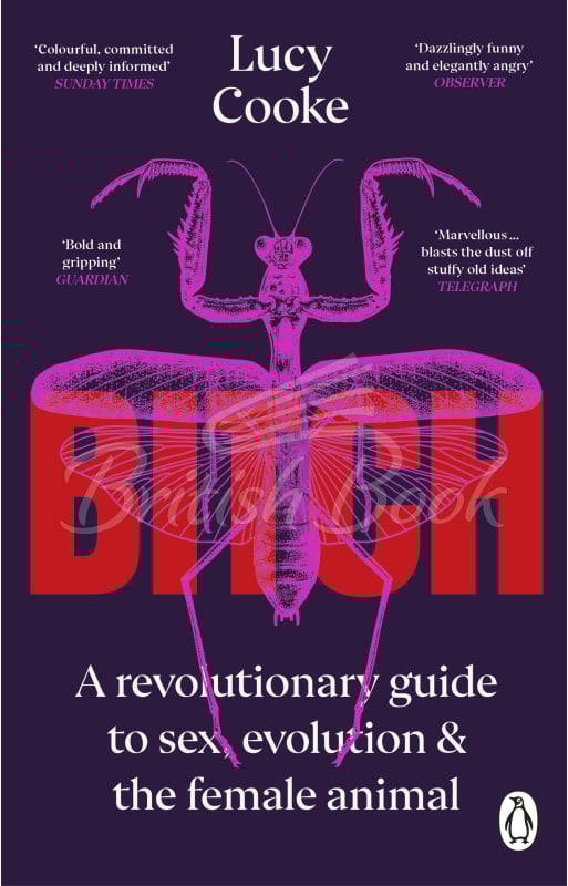 Книга Bitch: What Does it Mean to Be Female? зображення