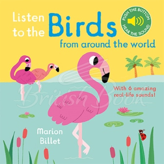 Книга Listen to the Birds from around the World зображення