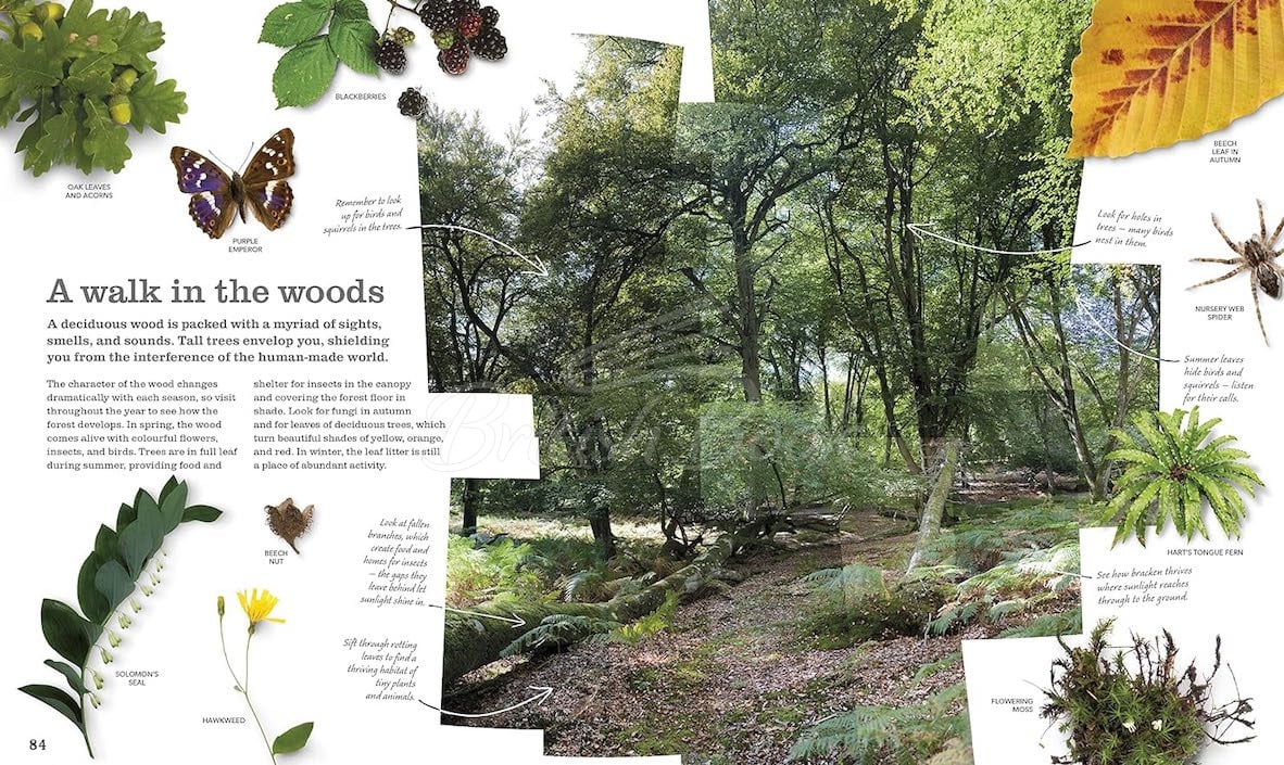Книга Chris Packham's Nature Handbook зображення 2