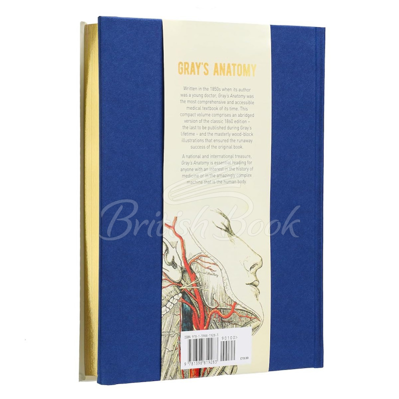 Книга Gray's Anatomy изображение 1