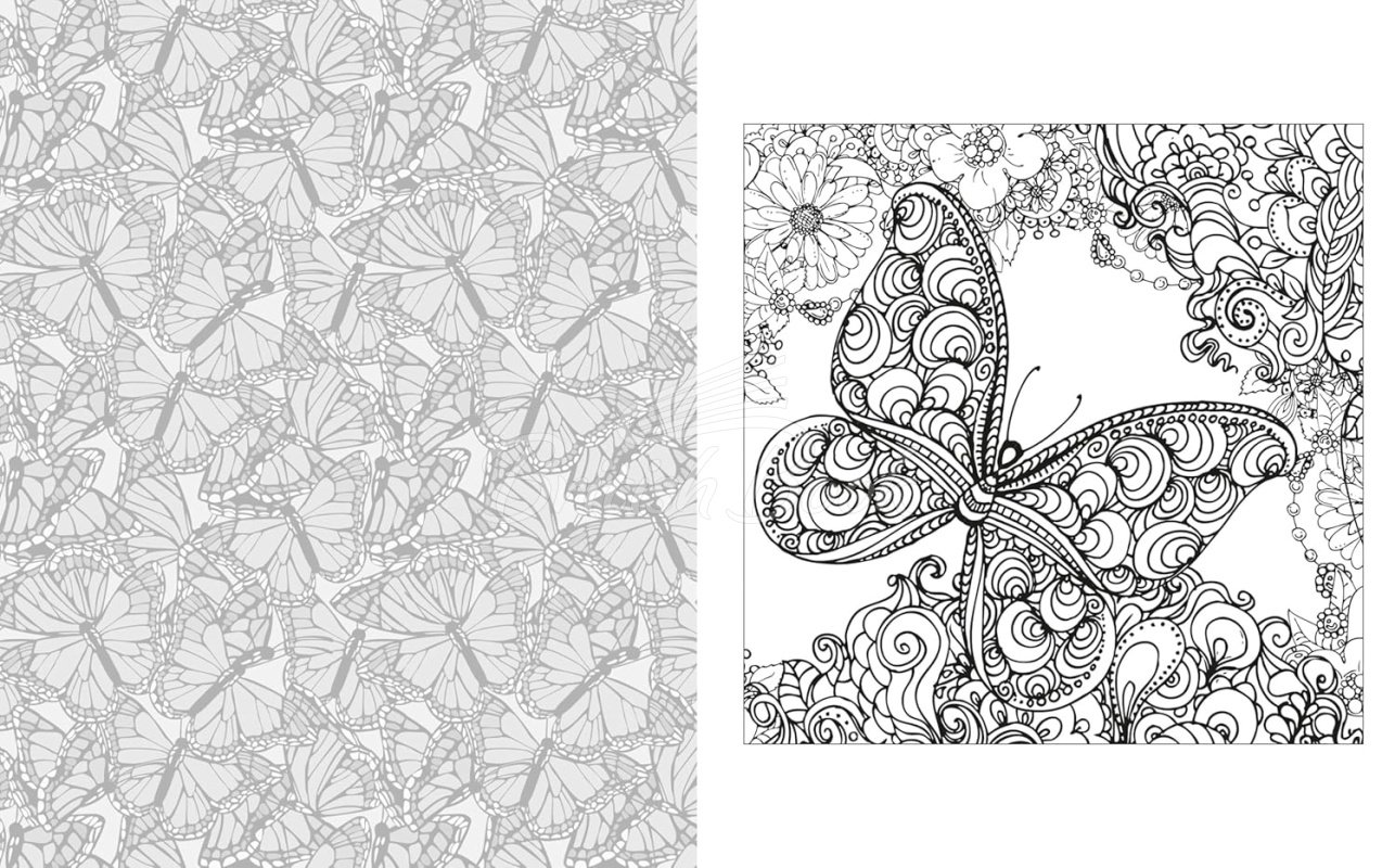 Книга The Birds and Butterflies Colouring Book зображення 2