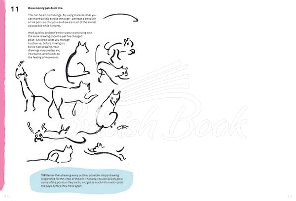 Книга Animal Art: 101 Creative Activities to Inspire and Guide You зображення 5