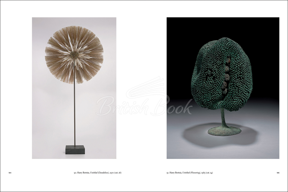 Книга The Bradley Collection of Modern Art зображення 3