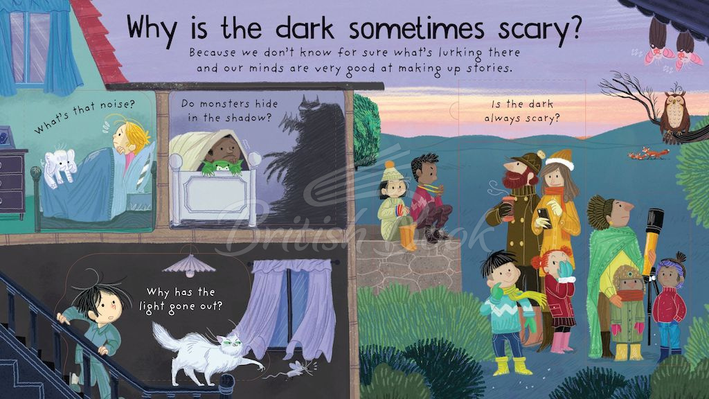 Книга Lift-the-Flap First Questions and Answers: Why is it Dark at Night? изображение 2