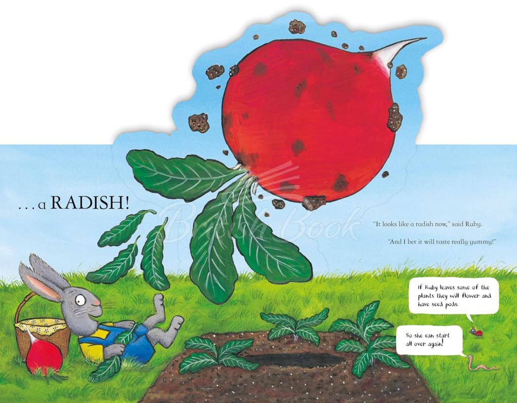 Книга National Trust: Ruby Plants a Radish зображення 6