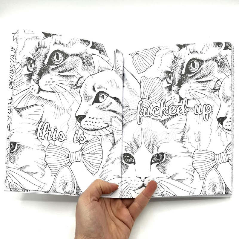 Книга Keep F*cking Calm and Colour Cats зображення 3