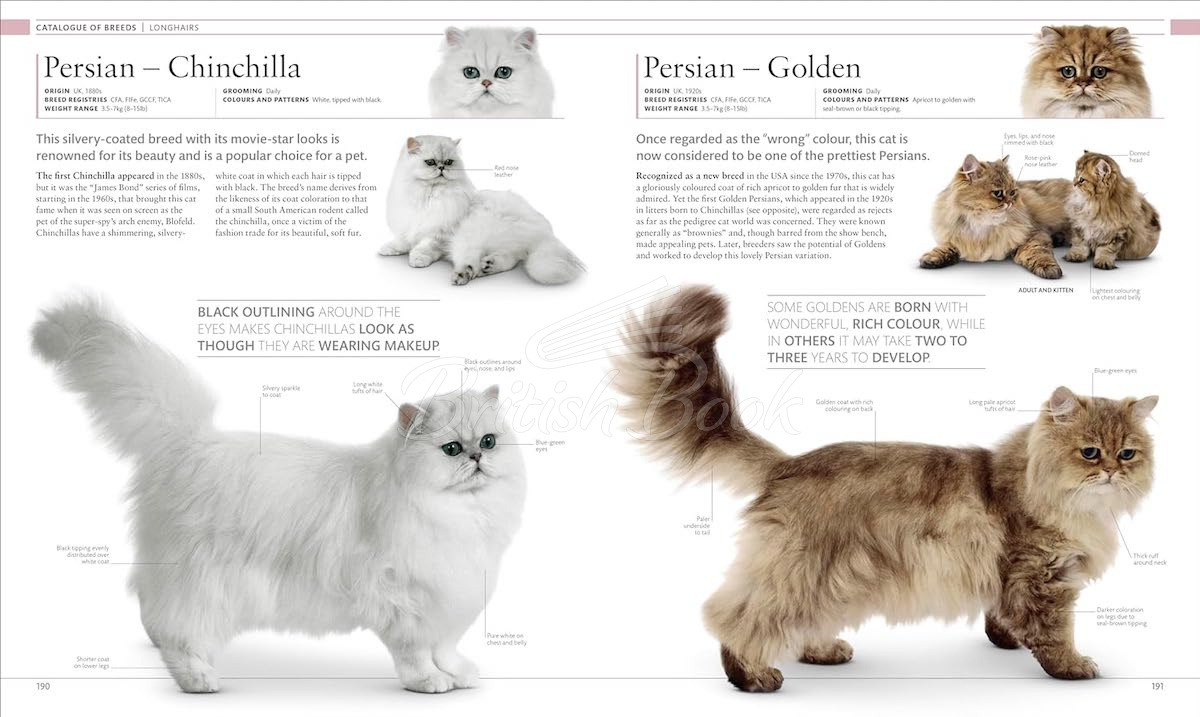 Книга The Cat Encyclopedia изображение 8