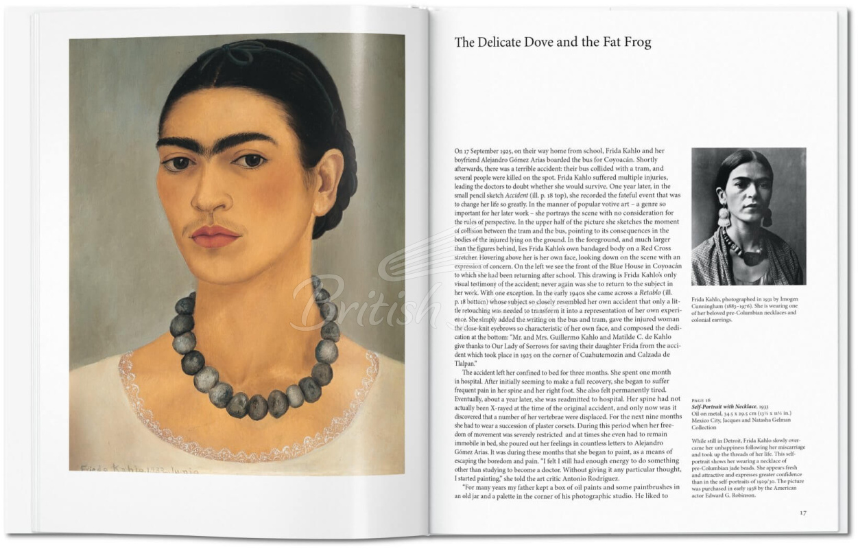 Книга Kahlo зображення 3