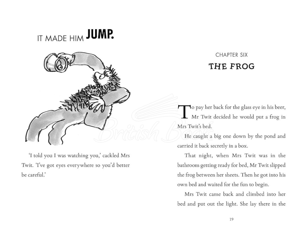 Книга The Twits изображение 4