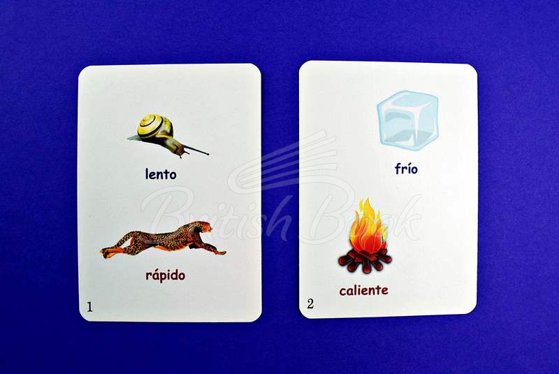 Карточки Fun Card Spanish: XXL Spanish My First 600 Words изображение 10