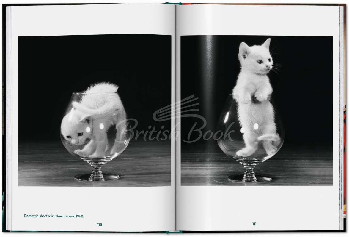 Книга Walter Chandoha. Cats. Photographs 1942–2018 изображение 5