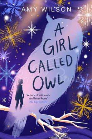 Книга A Girl Called Owl зображення