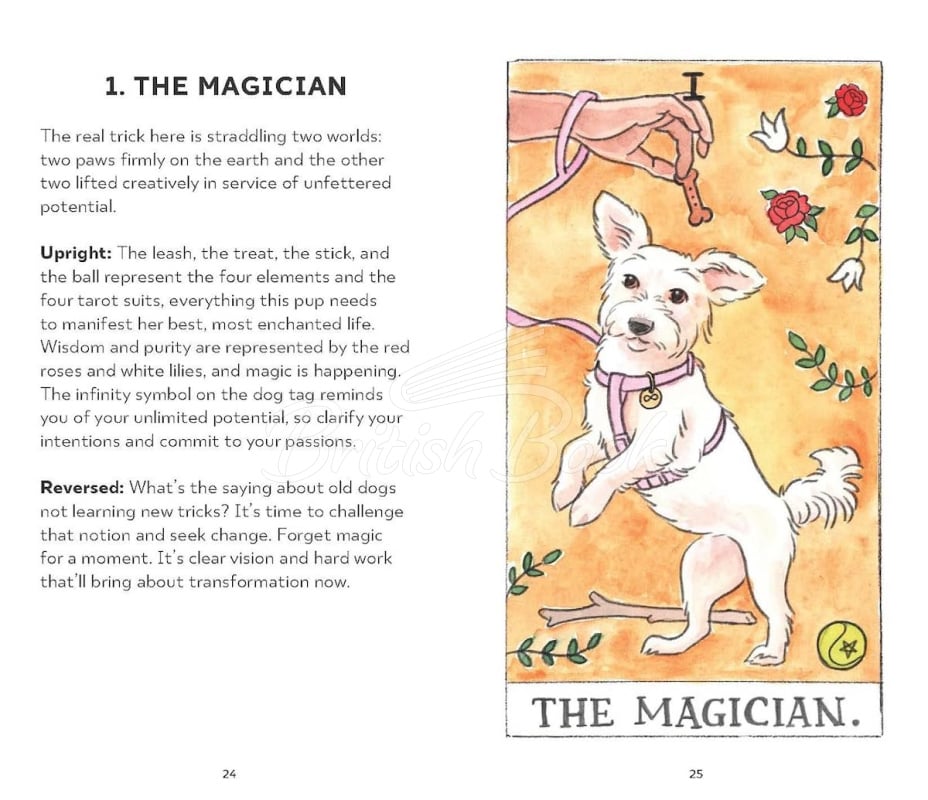 Карти таро Dog Tarot зображення 3