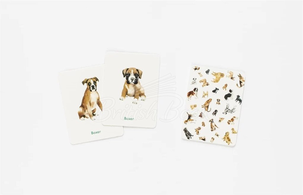 Карткова гра Dogs & Puppies: A Memory Game зображення 5