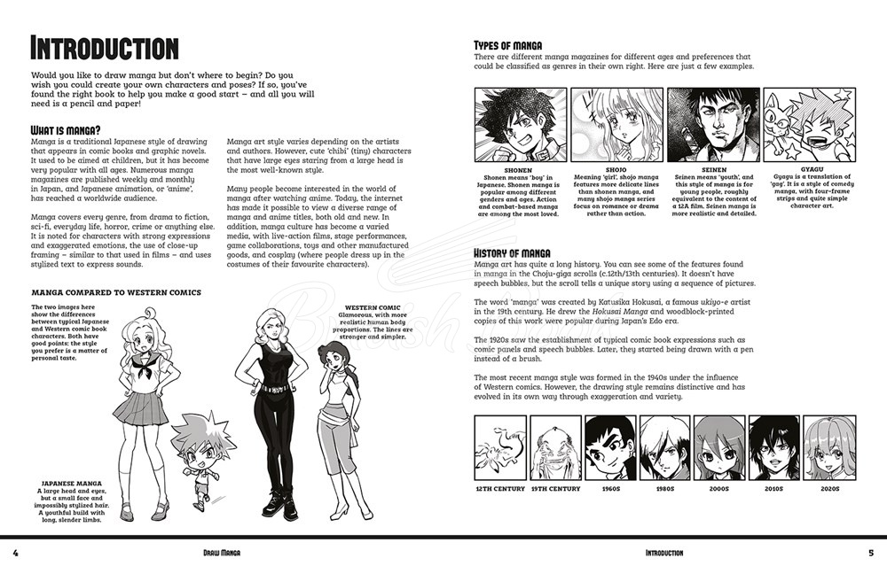Книга Draw Manga изображение 1