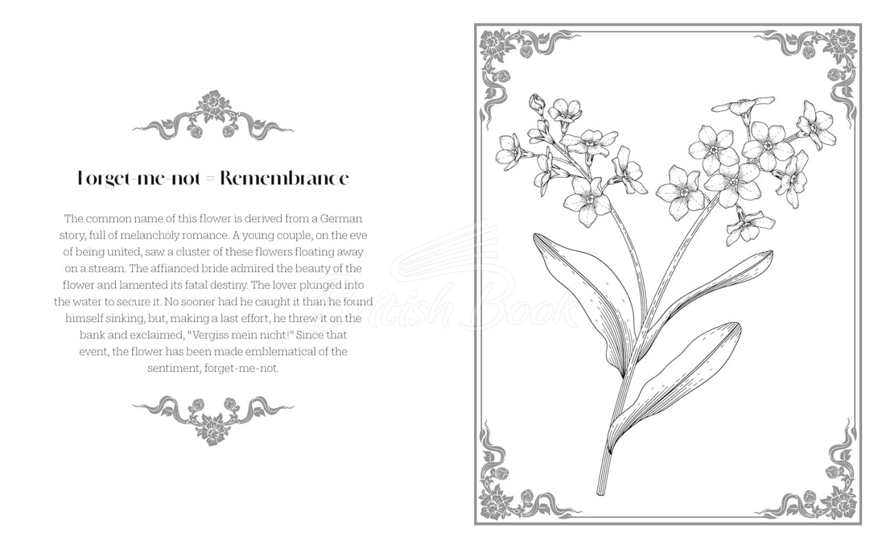 Книга The Language of Flowers Colouring Book зображення 1