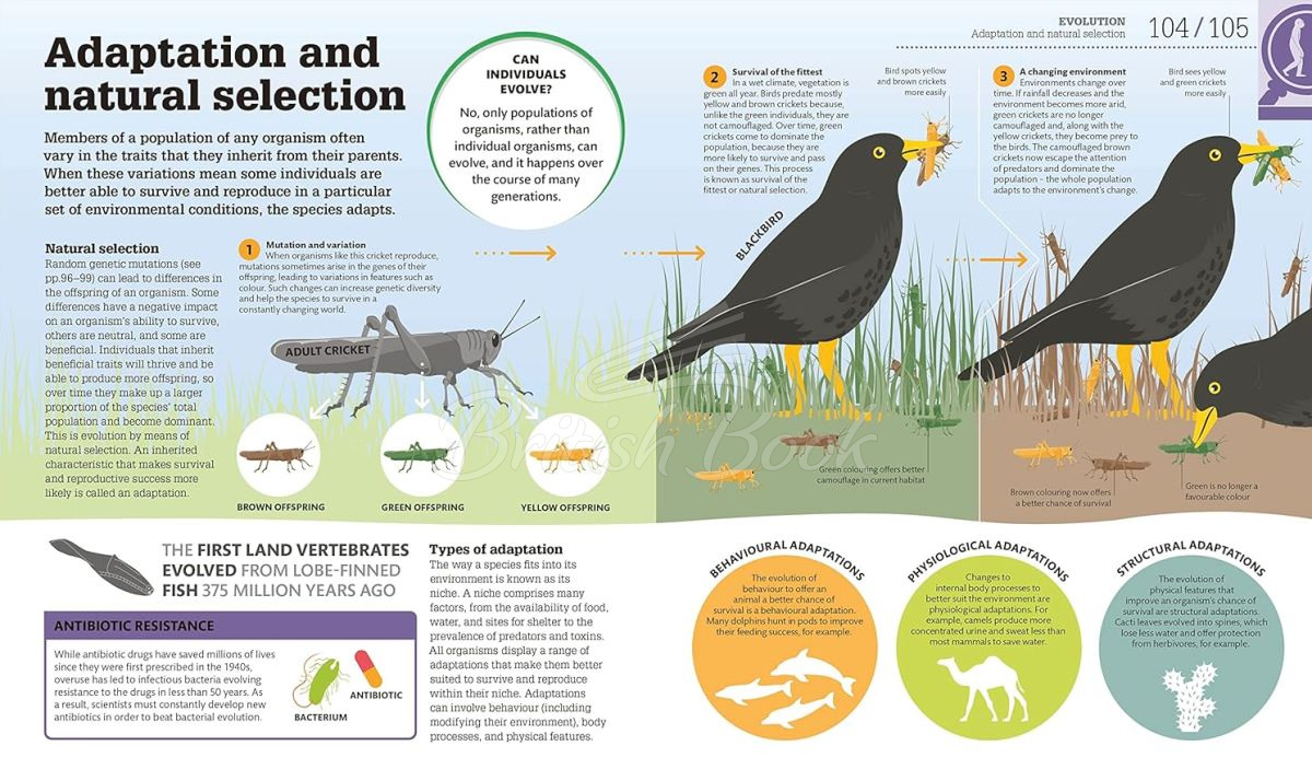 Книга How Biology Works зображення 7